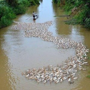 Meet your Posher, Trang